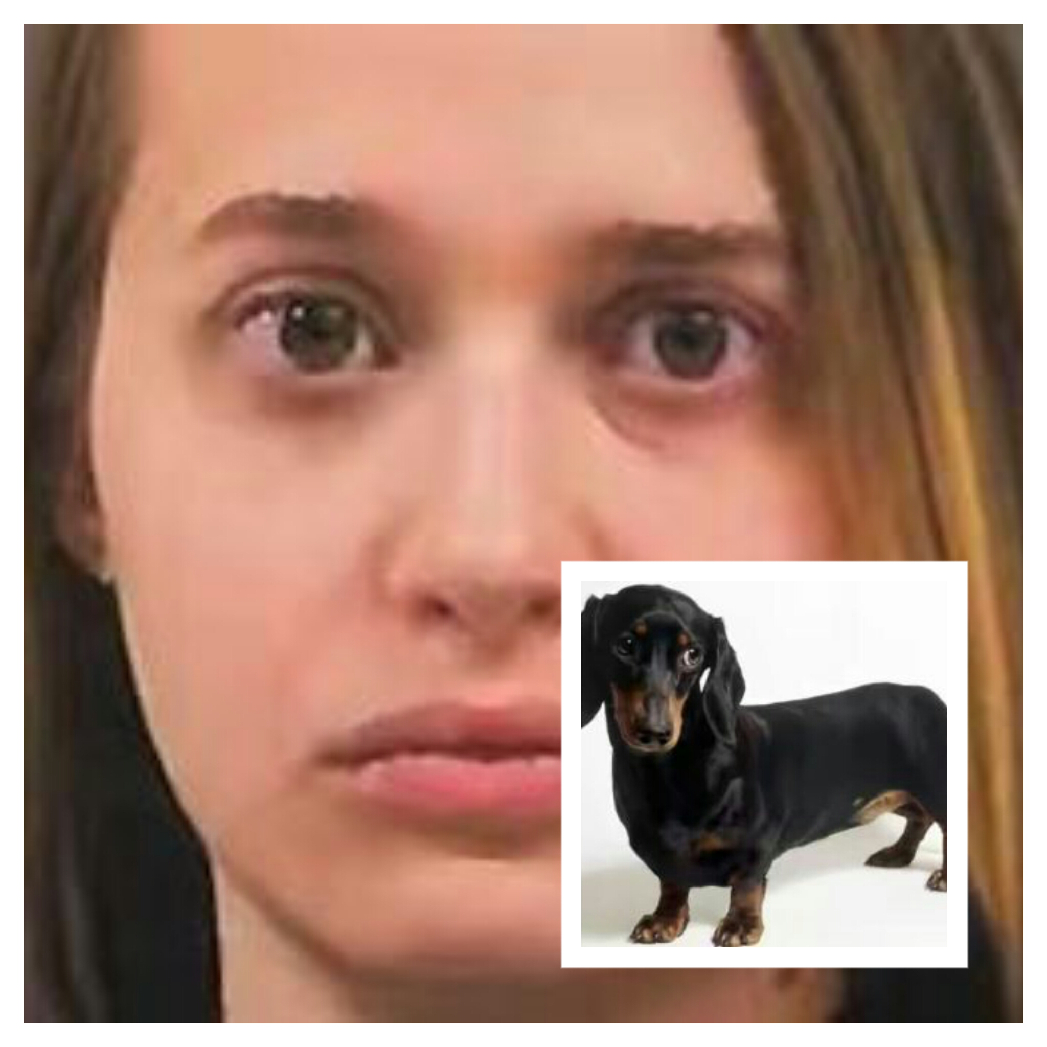 Girls having sex with puppies you Agree, girls having sex with puppies opinion, error